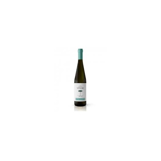 Colomba bianco Vitese Sauvignon cl 70 bio vino