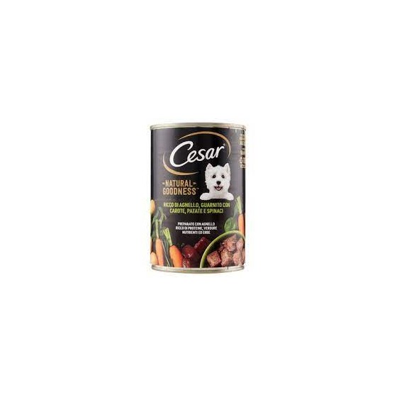 CESAR PATE'NAT.GOOD.AGNEL.G400