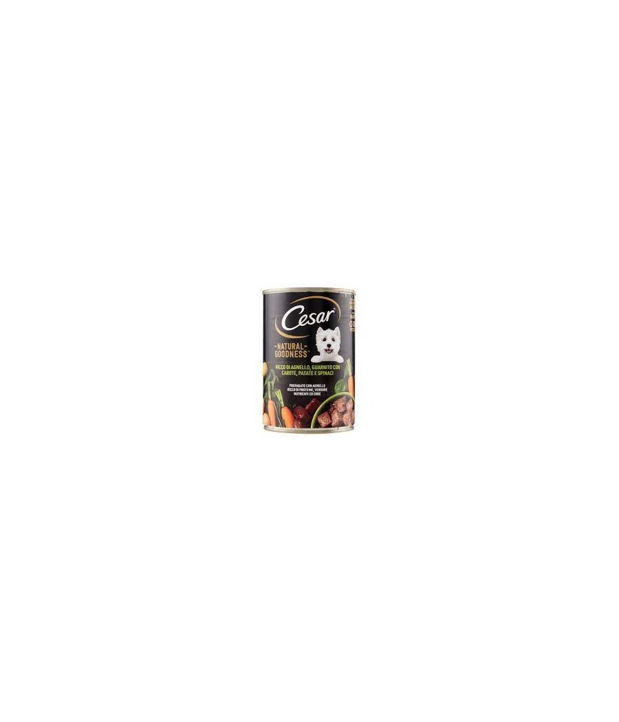 CESAR PATE'NAT.GOOD.AGNEL.G400