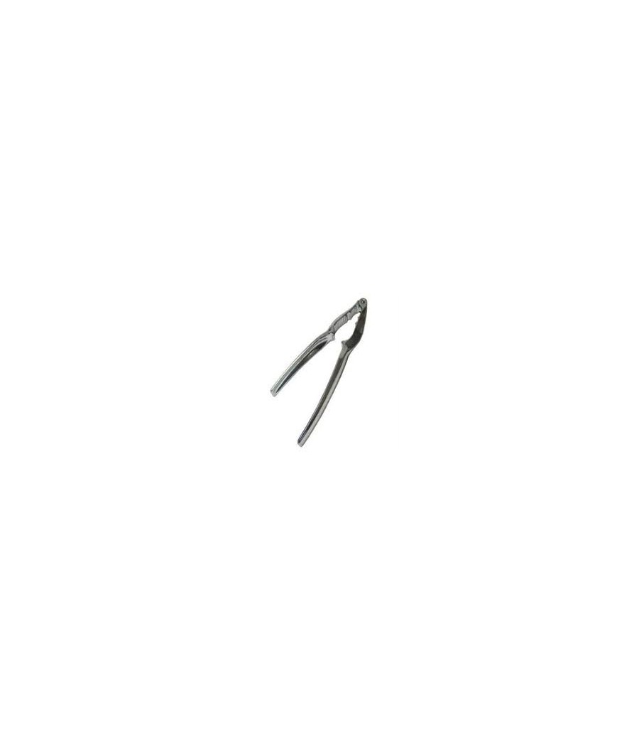 DAILY scaccia noci CROMATO 01010