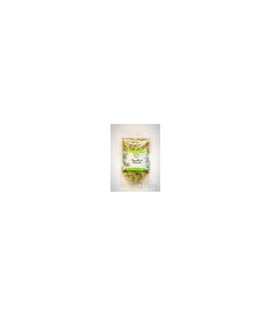 DRY FRUIT GRANELLA PIST.GR100