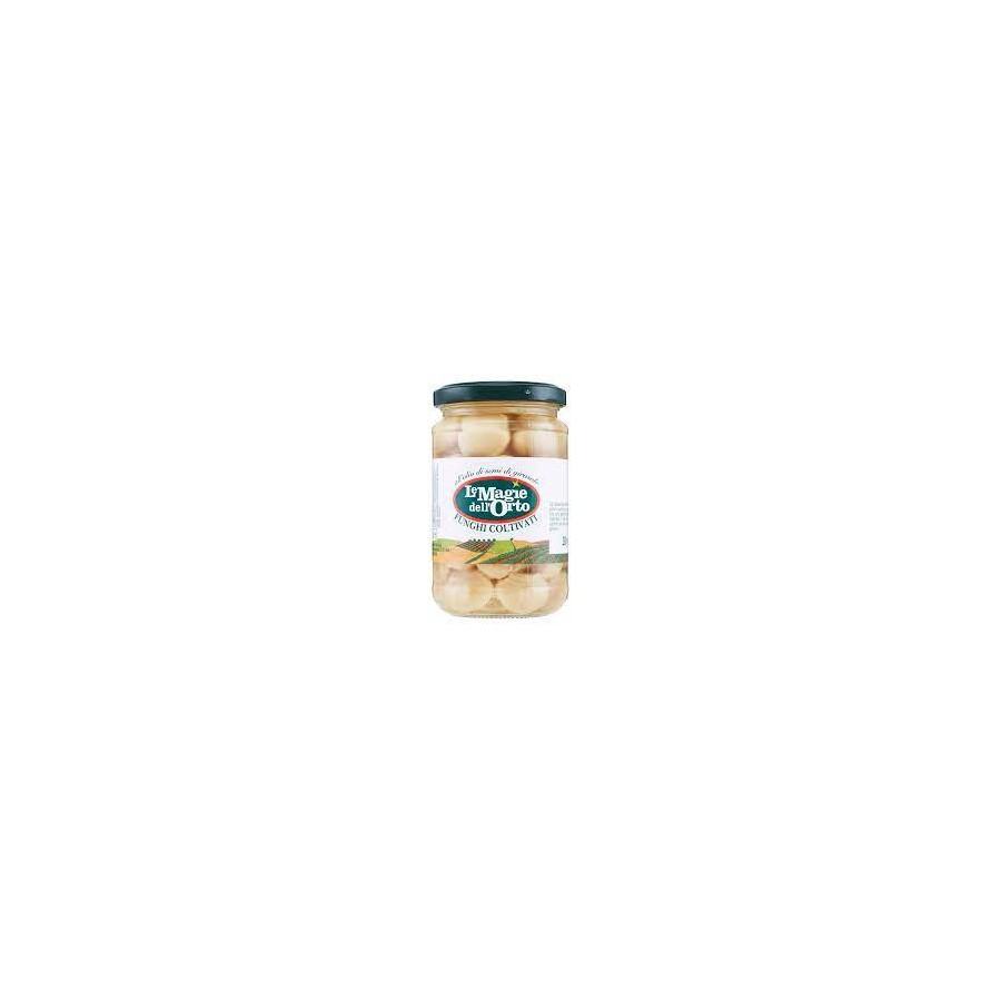 magia dell\'orto funghi gr 280