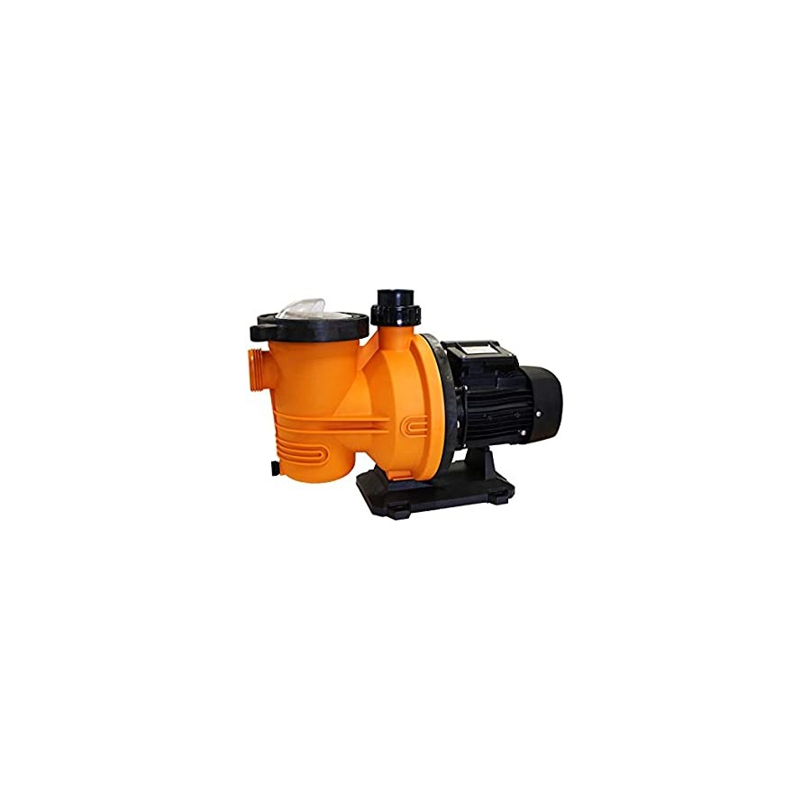 glong pompa piscina FCP 750S USATA rigenerata 0,75 kw 1HP sn.13010808 220v