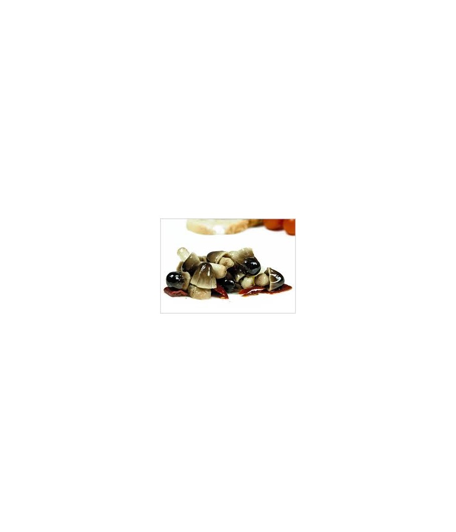 FUNGHI DI MUSCHIO SFUSI sgocc