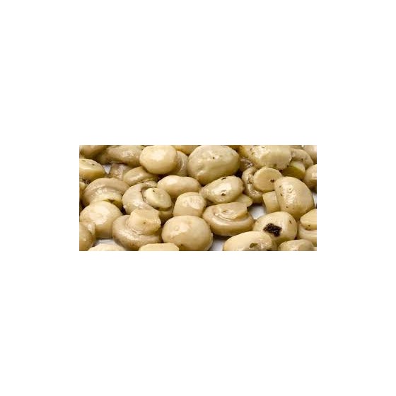 funghi interi pretaiolo SOTTOLIO
