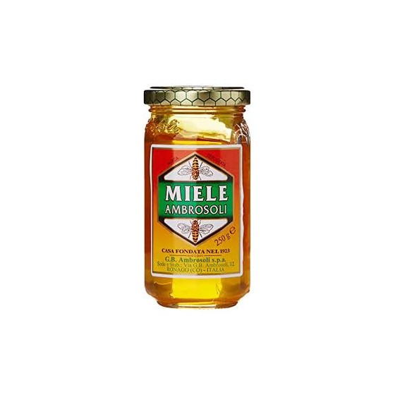 AMBROSOLI MIELE MILLEF. GR.250
