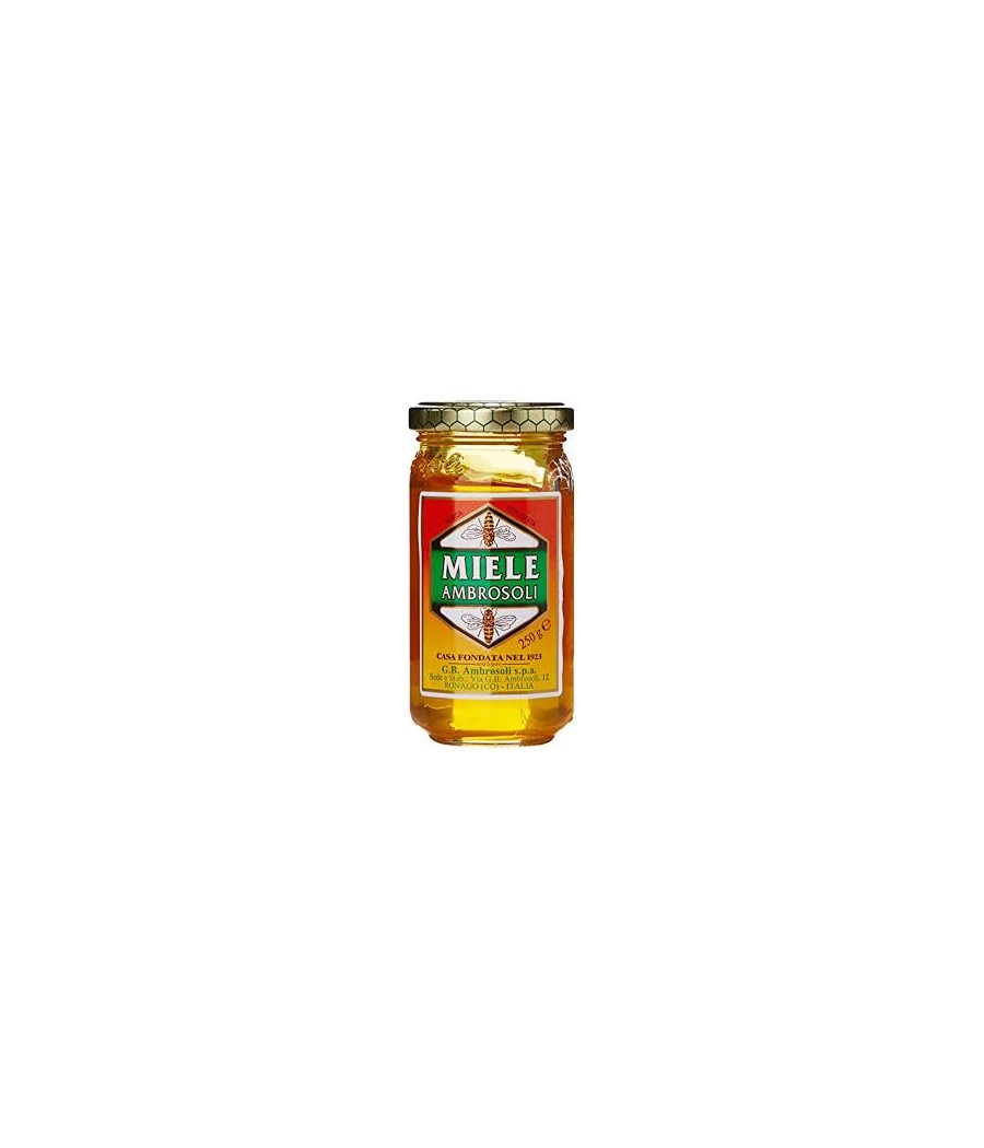 AMBROSOLI MIELE MILLEF. GR.250