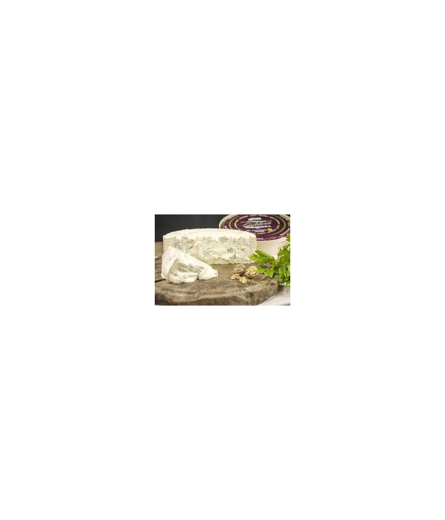 GORGONZOLA TRADIZIONALE