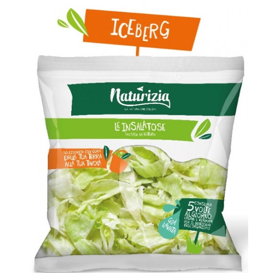 NATURIZIA INS.ICEBERG GR.250