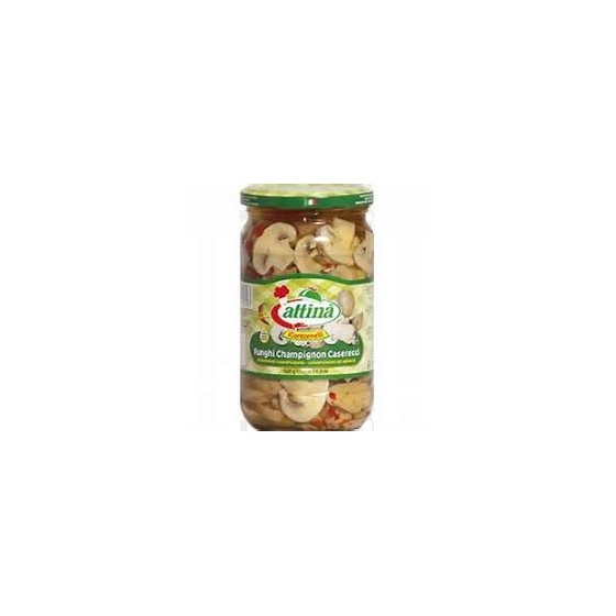 ATTINA'FUNGHI CASERECCI ALL'OLIO VV 314