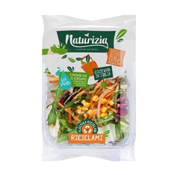 NATURIZIA INSalata sufisticata gr 200