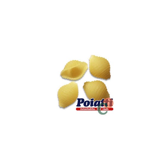 POIATTI 36 CONCHIGLIE R.KG.1