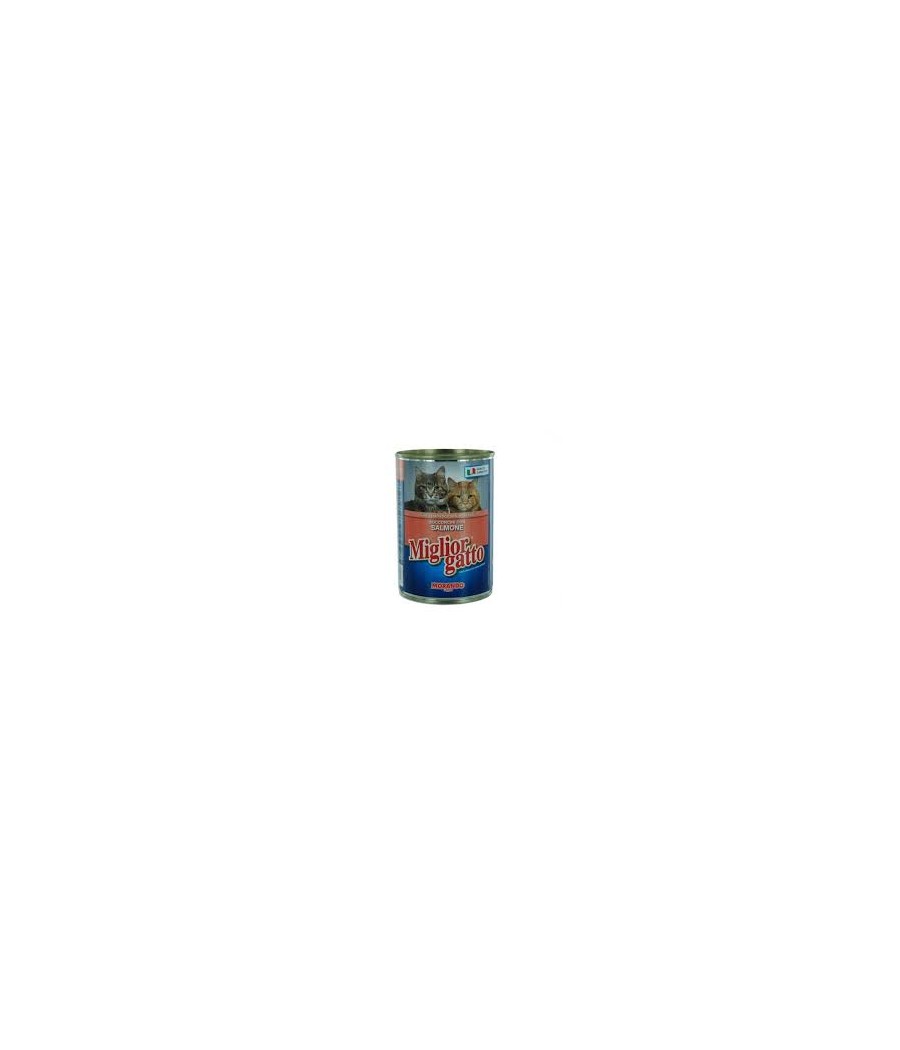 MIGLIOR GATTO SALMONE GR.405