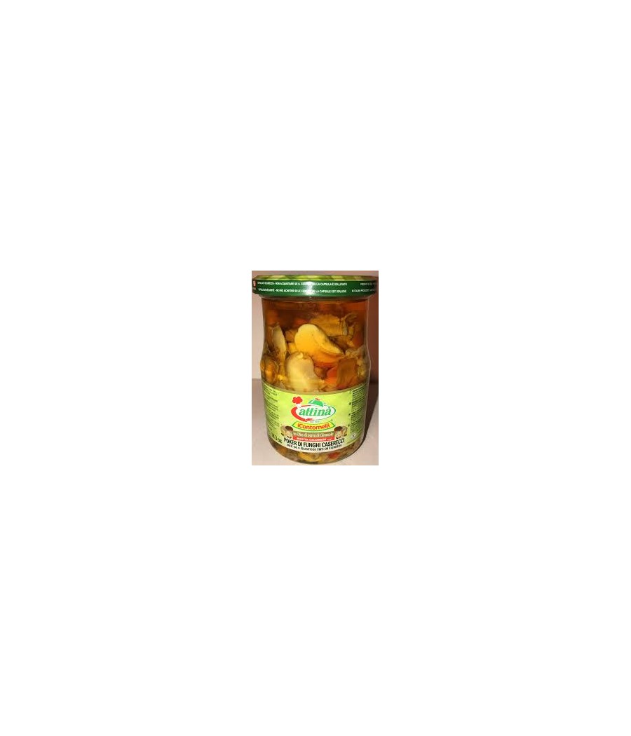 ATTINA FUNGHI POKER GR 280