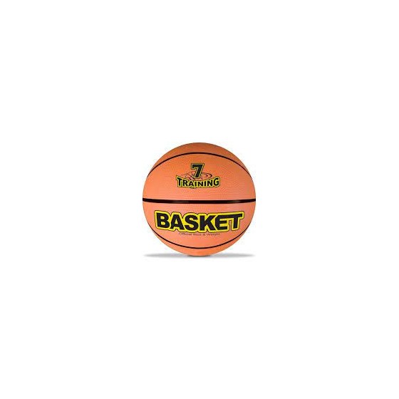 pallone basket champion diam 245