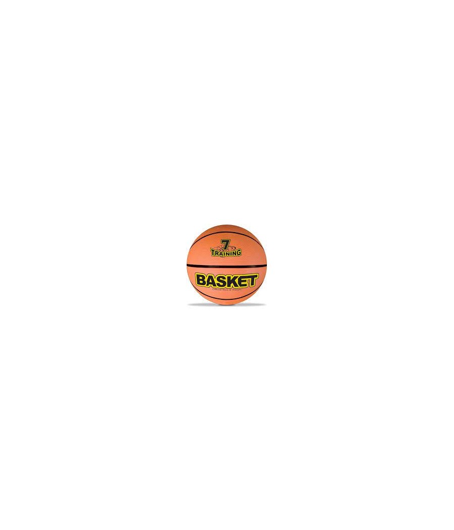 pallone basket champion diam 245