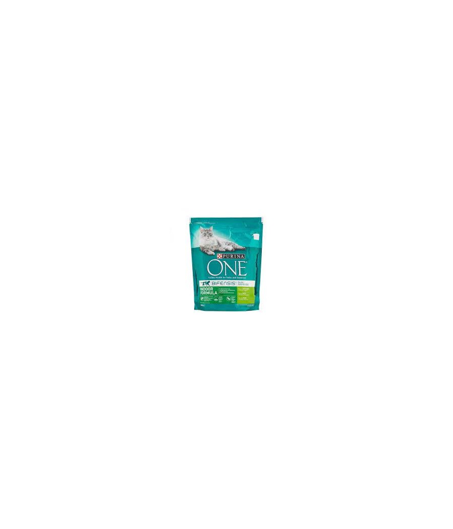 PURINA ONE GATTO TACCHINO G800