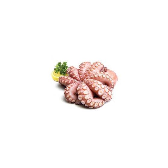 POLPO polipo OCTOPUS KG orig.PACIFICO