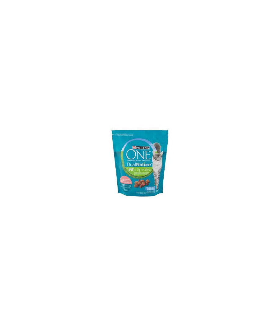 PURINA ONE DUAL SALMONE GR.400
