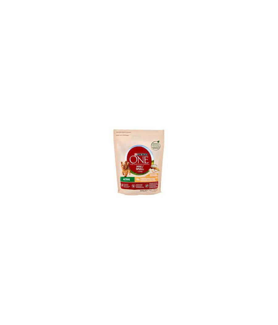PURINA ONE MINI POL/RIS GR.800