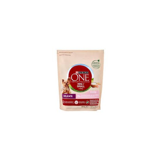 PURINA ONE MINI SALM/RISO G800