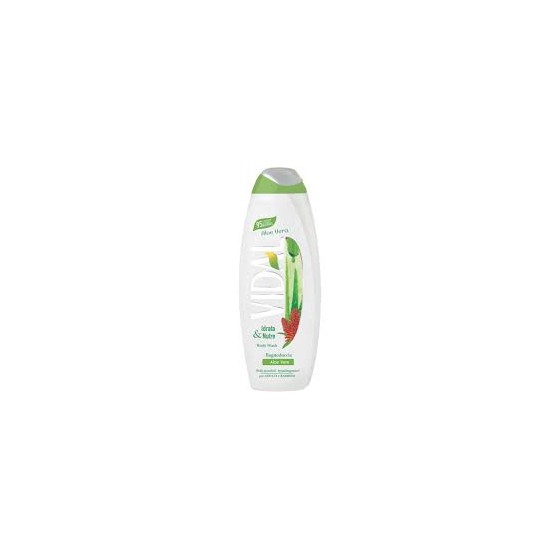 VIDAL B.S 500 ML ALOE VERA