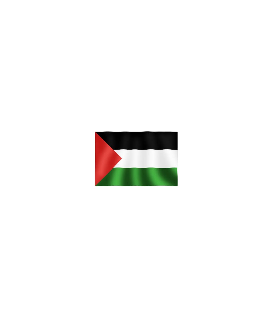 bandiera palestina 90*150