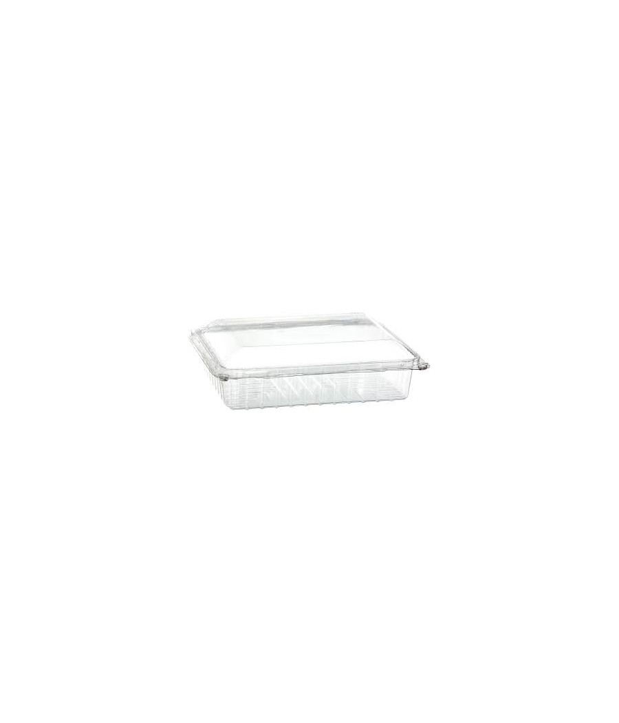 VASCHETTA RETTANGOLARE AFFETTATO CSF 250