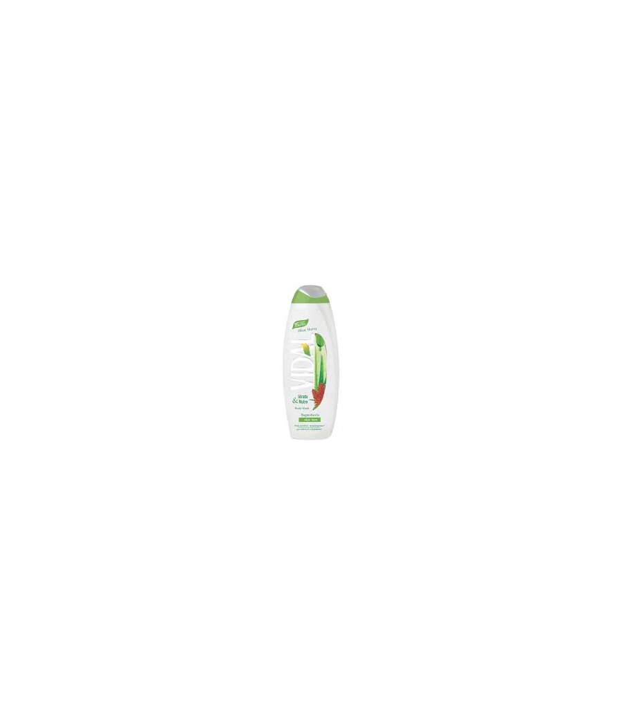 VIDAL B.S 500 ML ALOE VERA