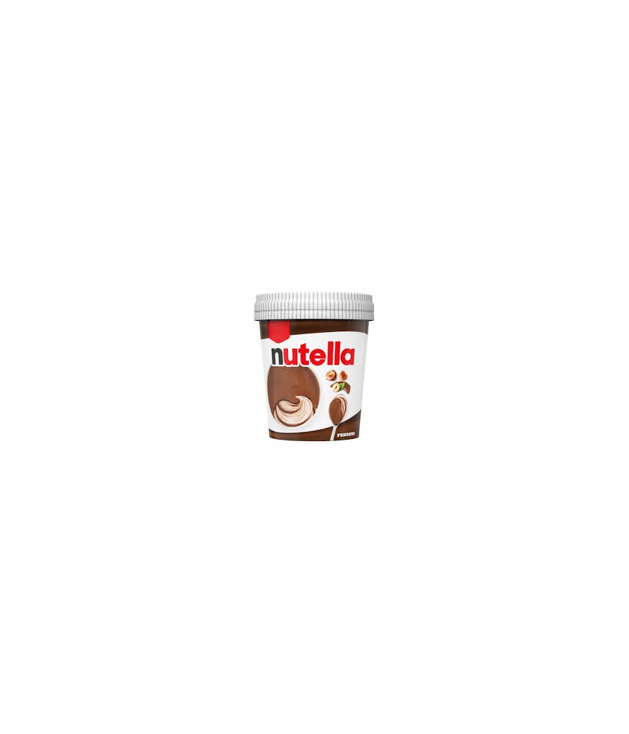 FERRERO NUTELLA ICECREAM ML470