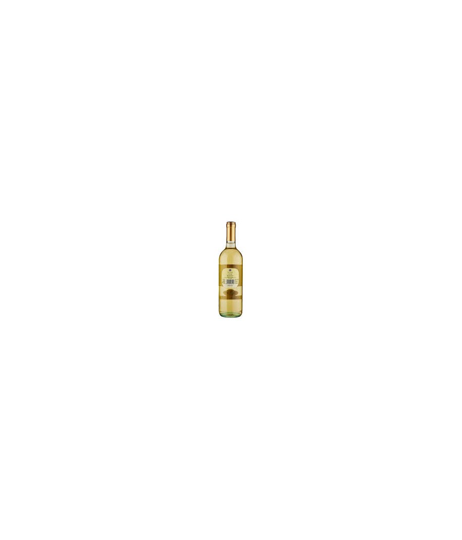 VINO PASSITO PANTELLERIA ZIGHIDI CL 50