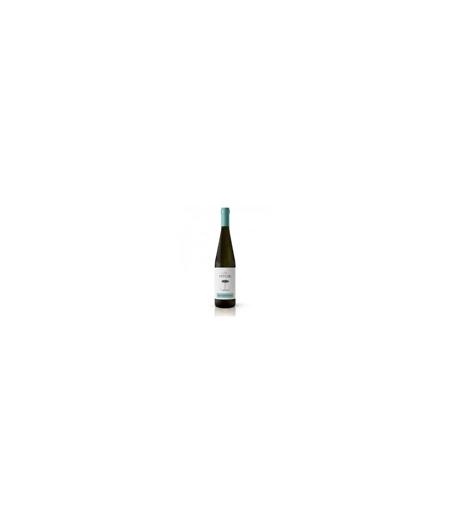 Vitese Sauvignon cl 70 bio vino