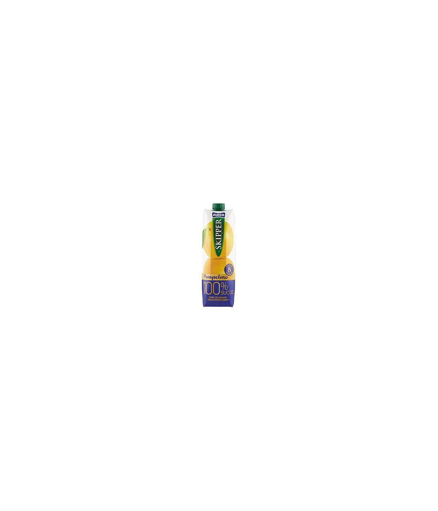 ZUEGG SKIPPER POMP.BRIK LT 1